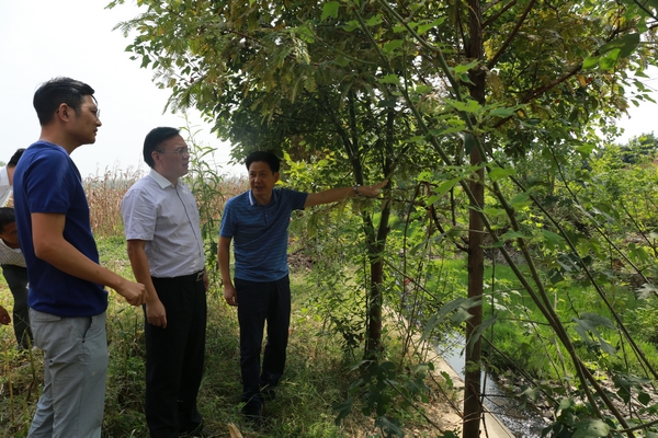 张忠斌院长到察看受灾现场.jpg