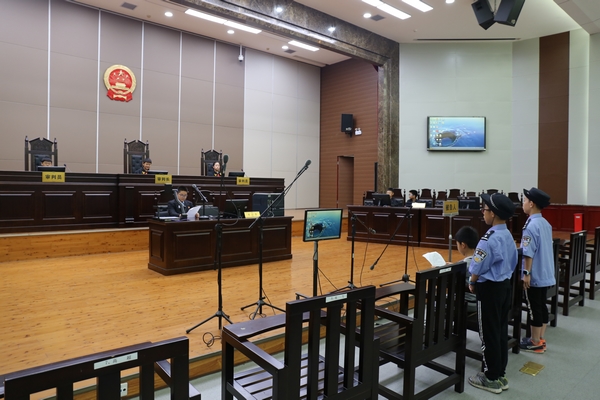 宜昌中院小学生参观6.jpg